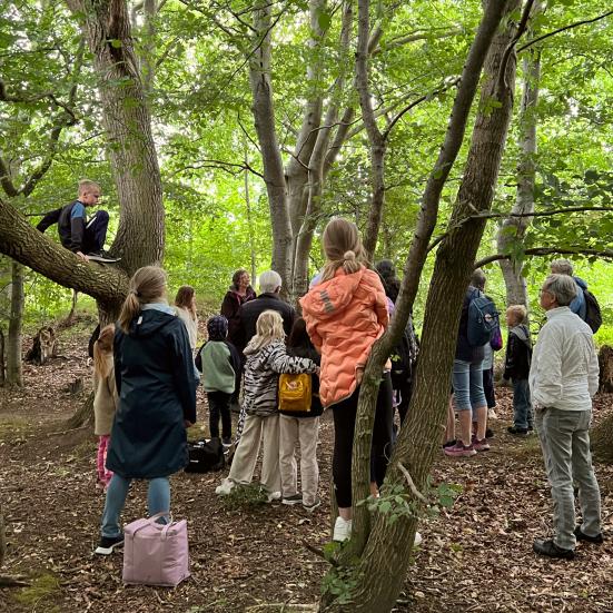 Børn og bedsteforældre i skov