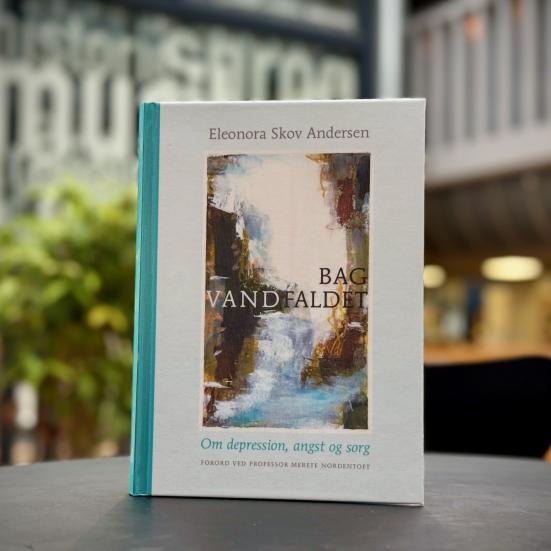 Bogen "Bag vandfaldet"