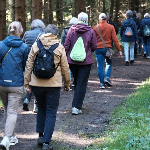 Travetur i skov